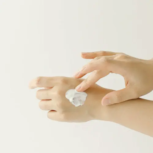 Miniatuur 3