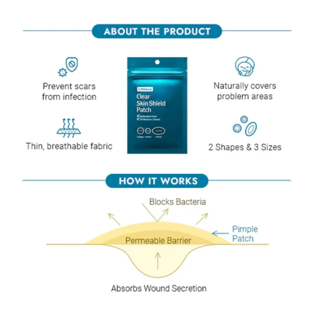 Miniatuur 3