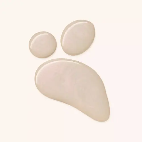 Miniatuur 3