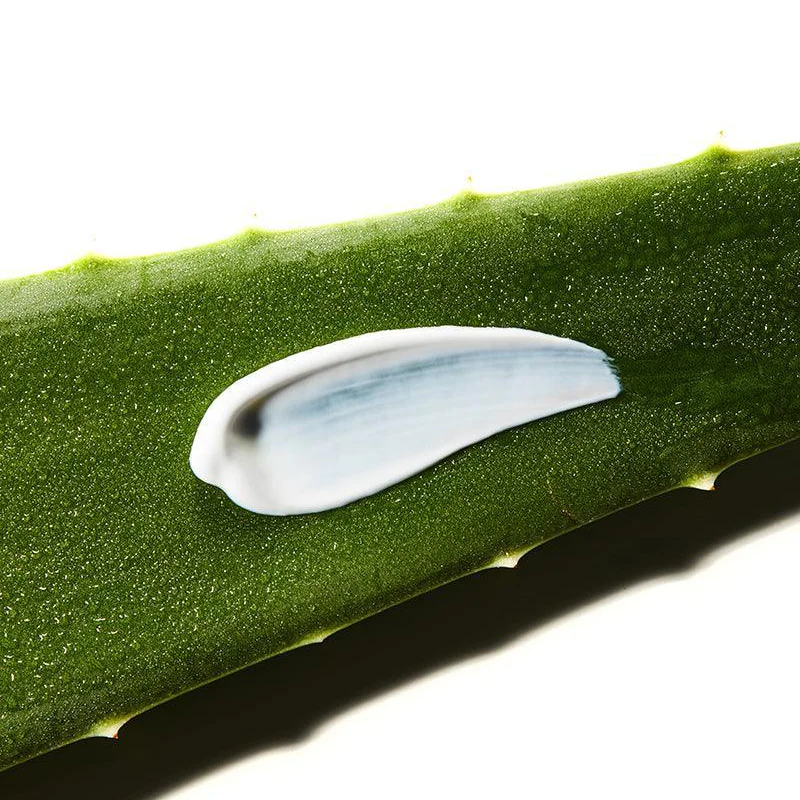 Miniatuur 8