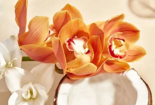 Miniatuur 3