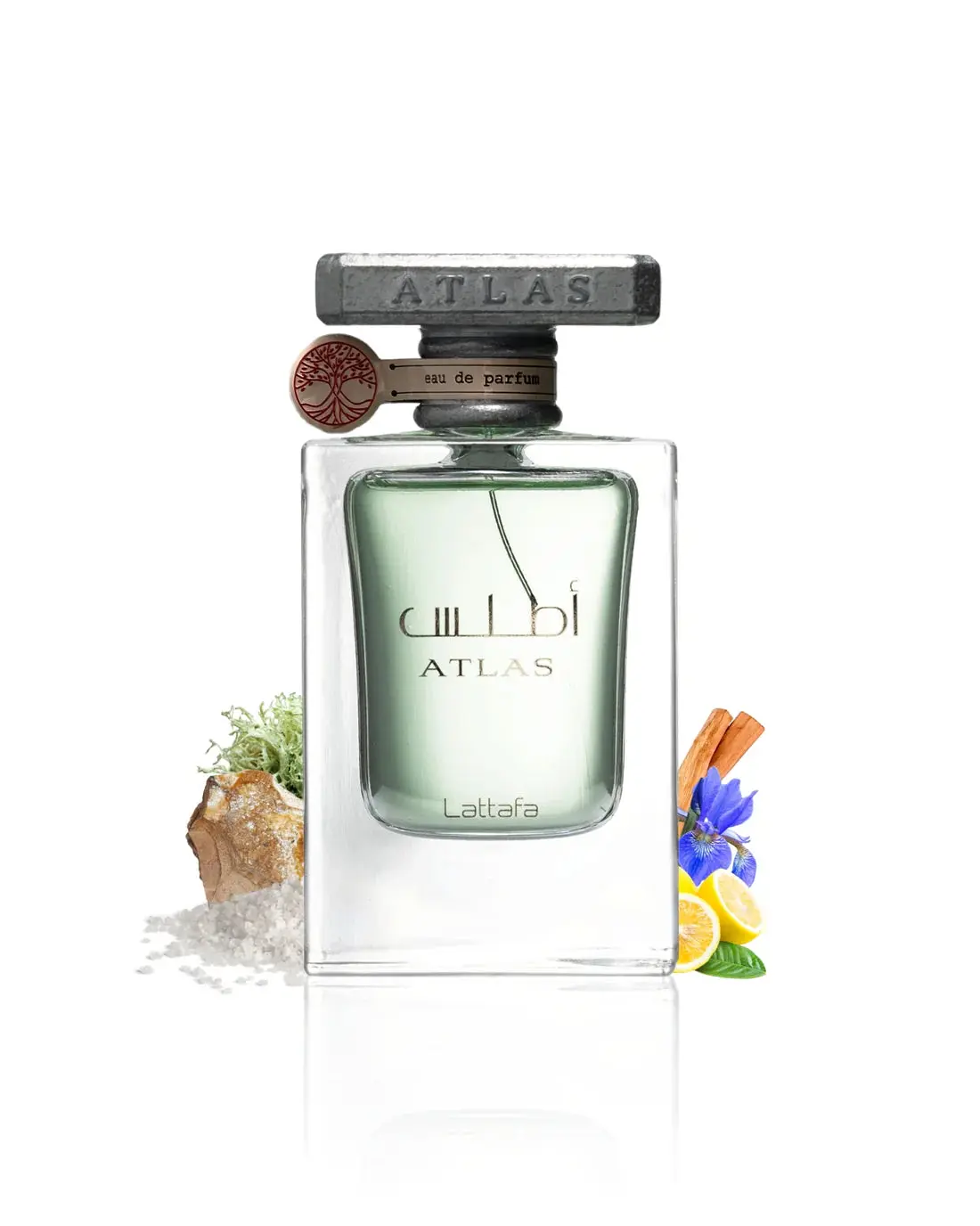 Miniatuur 2