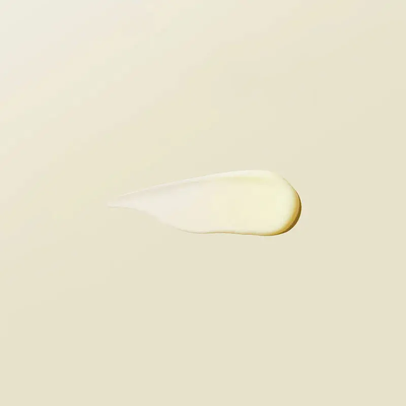 Miniatuur 3