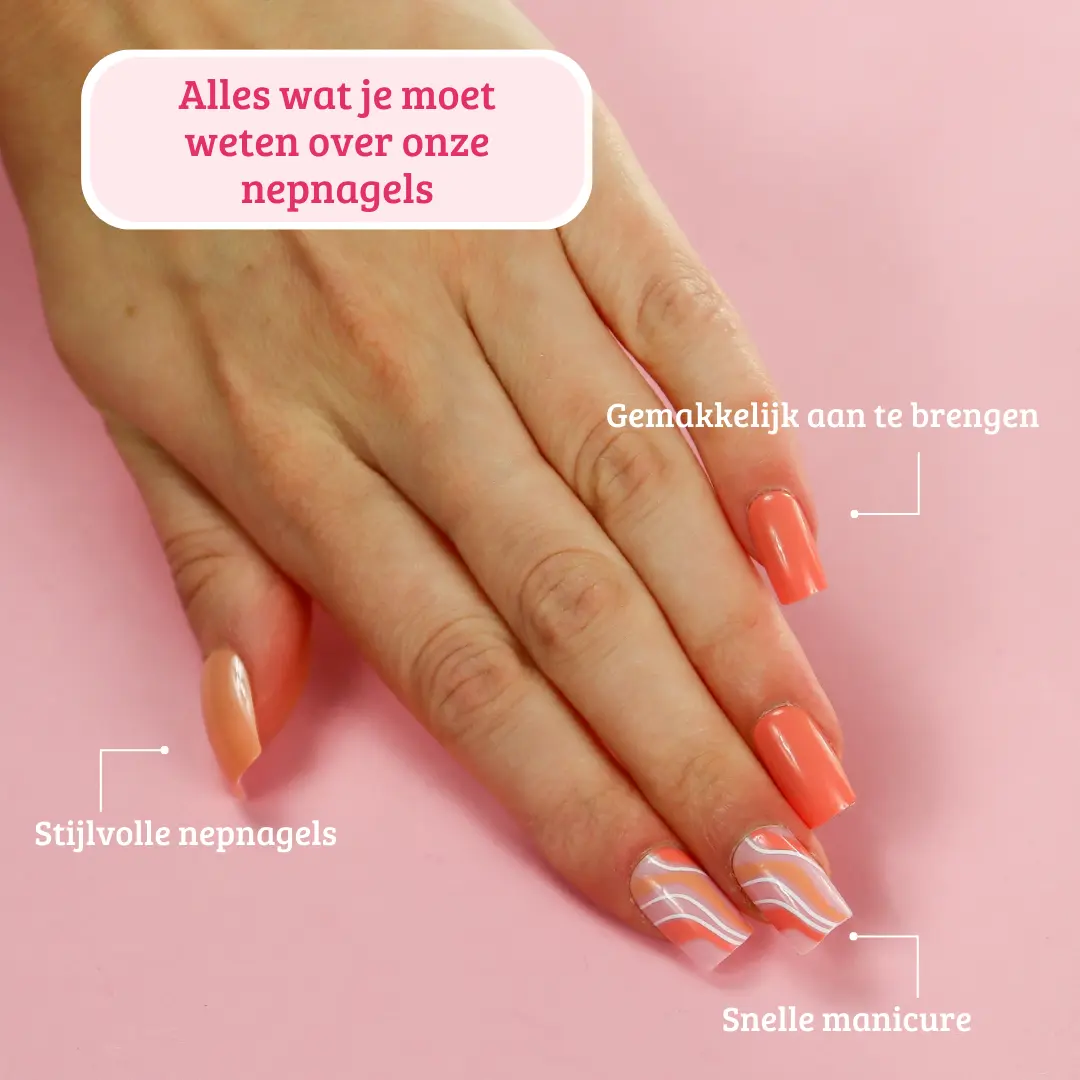 Miniatuur 9