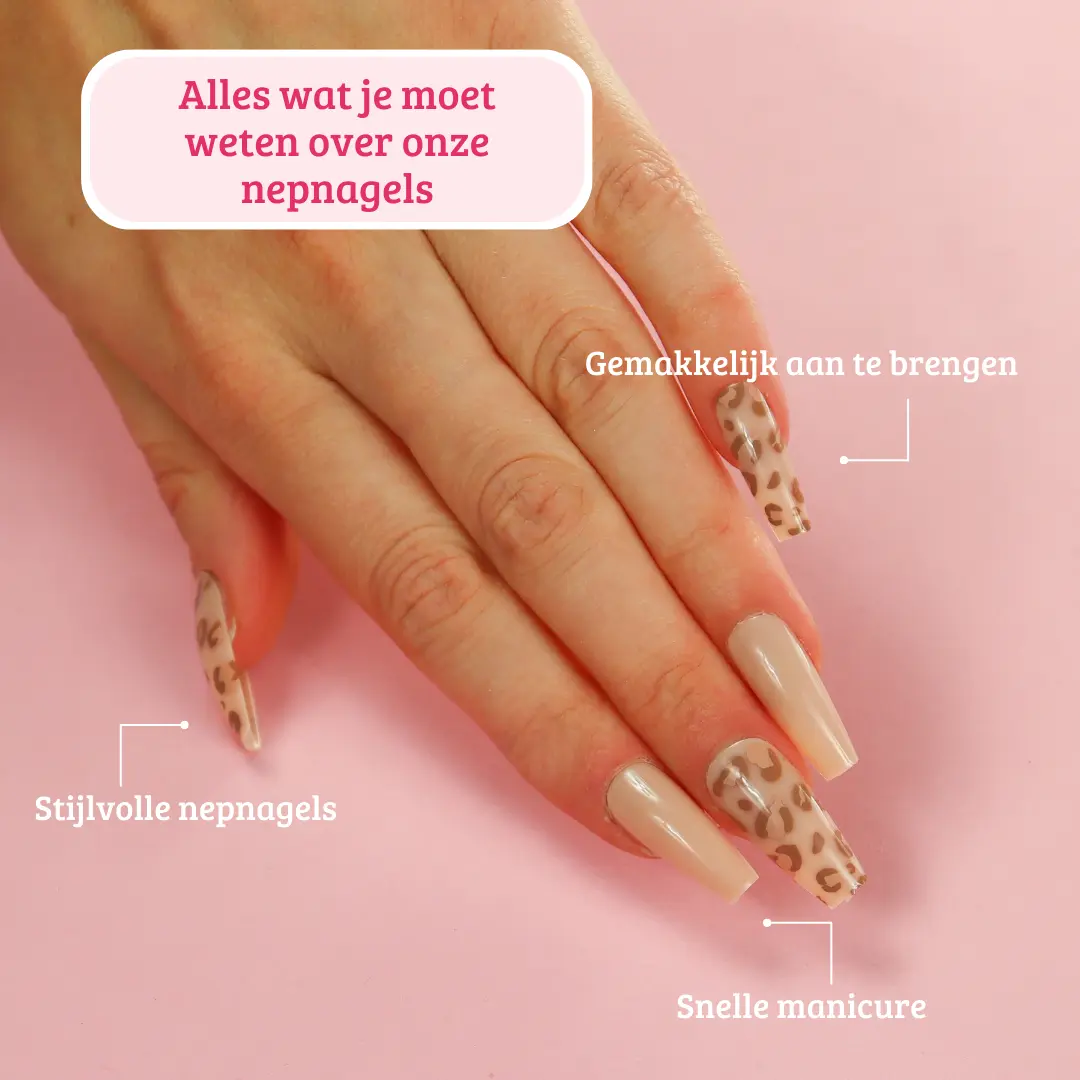 Miniatuur 9