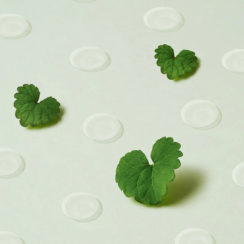 Miniatuur 4