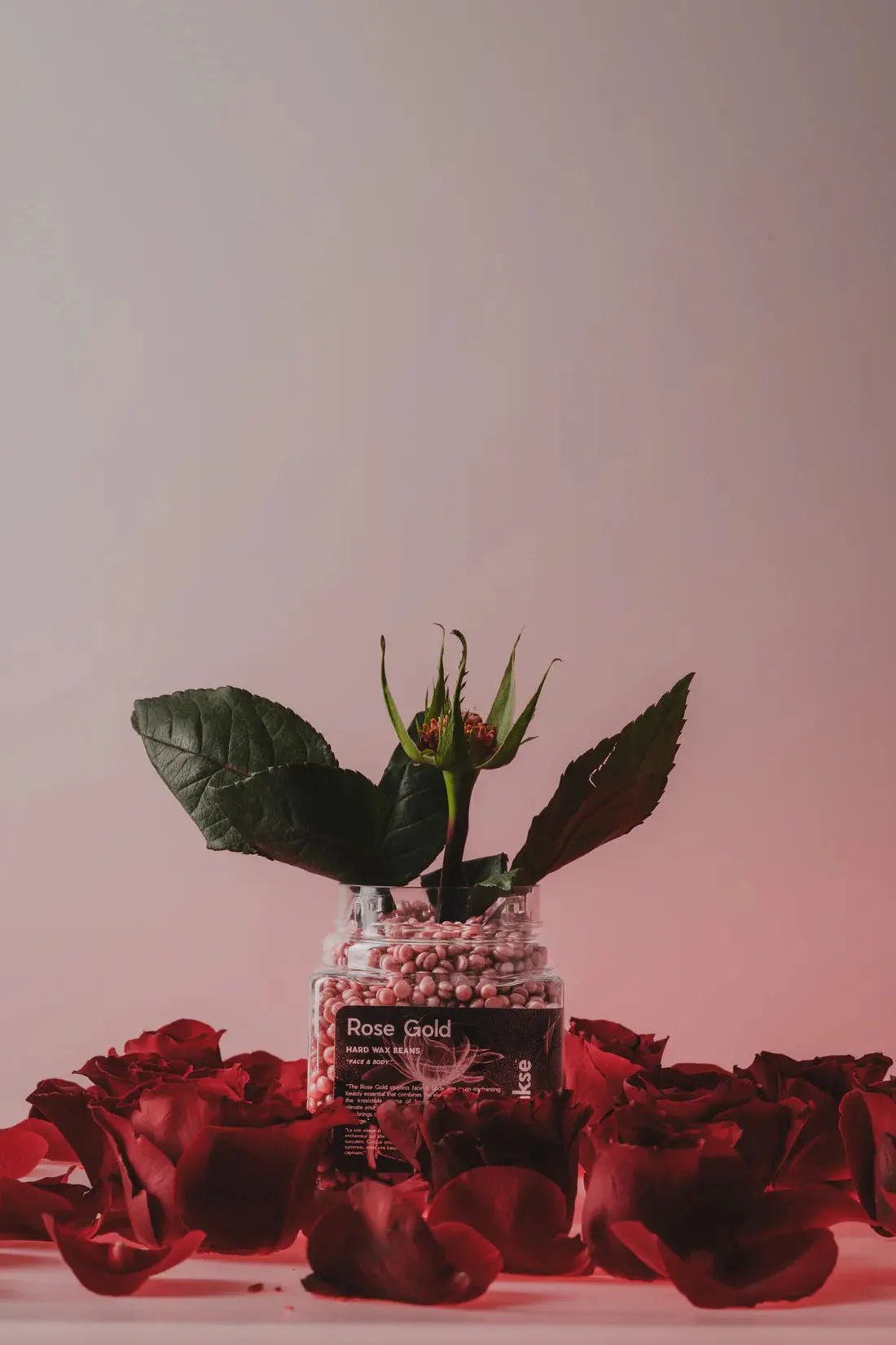 Miniatuur 4